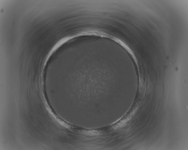 X0000081391045200701111512