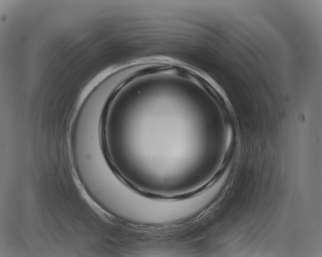 X0000081391054200701111513