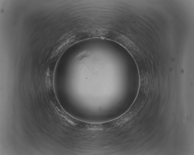 X0000081391058200701111512