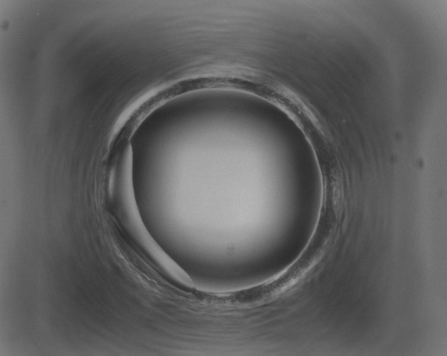 X0000081391069200701111512