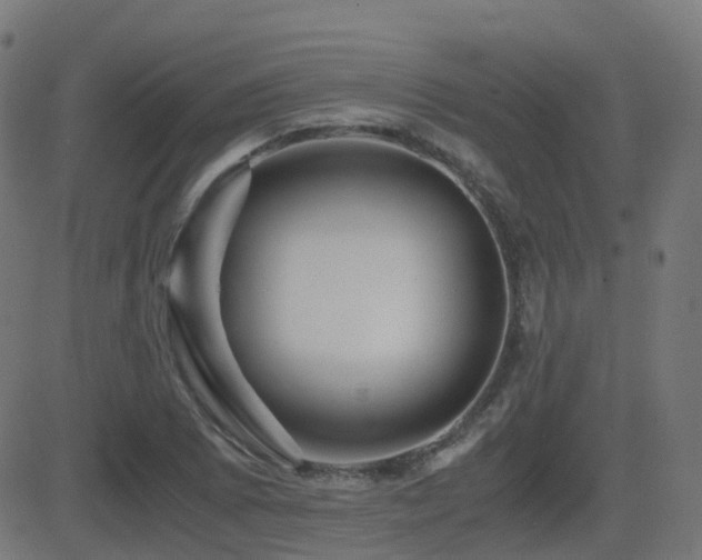 X0000081391073200701111512