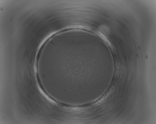 X0000081391084200701111511