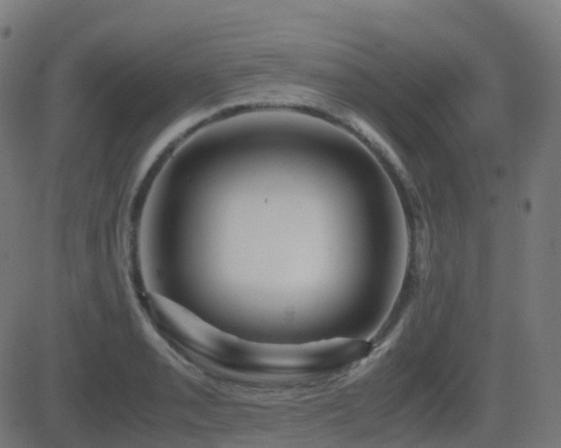 X0000081391085200701111511