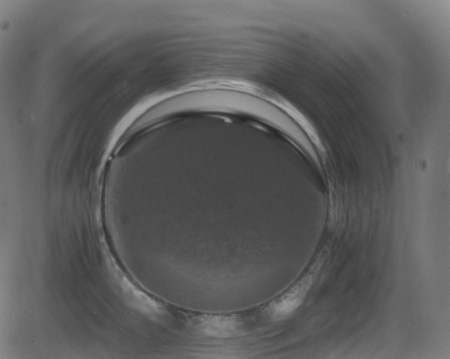 X0000081391102200701111511