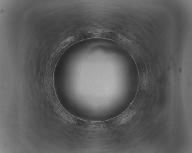 X0000081391105200701111510