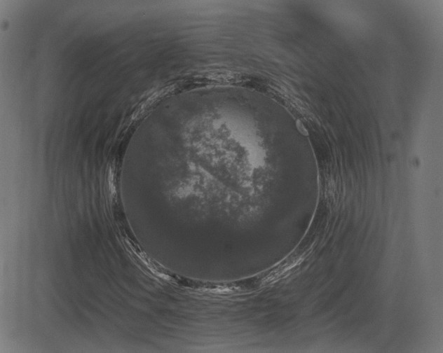 X0000081391106200701111510