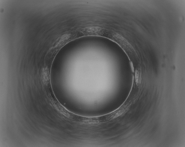 X0000081391107200701111510
