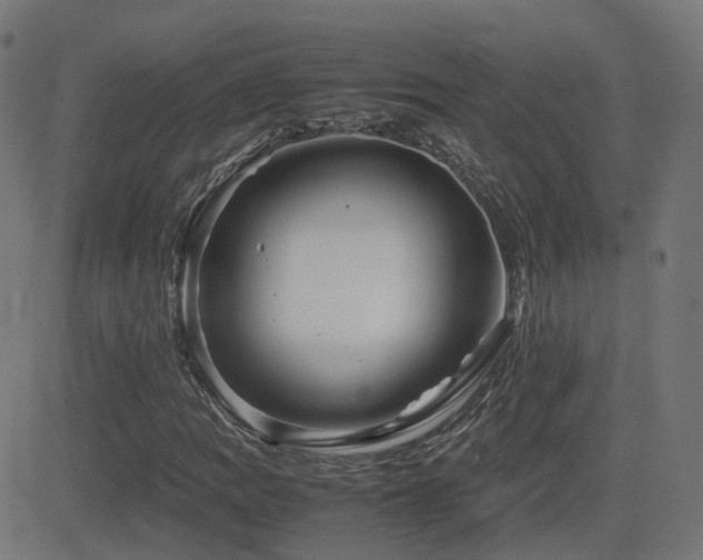 X0000081391109200701111510