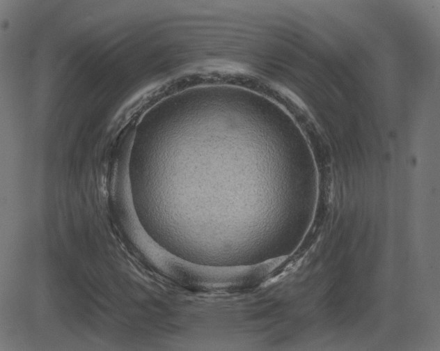 X0000081391112200701111510