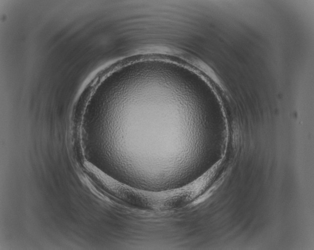 X0000081391116200701111510