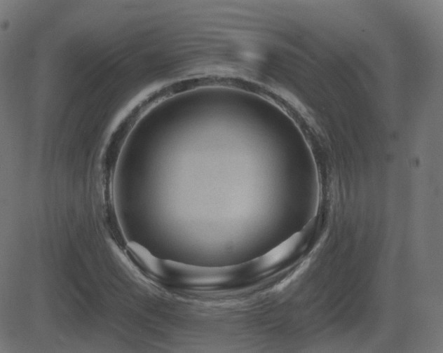 X0000081391118200701111510