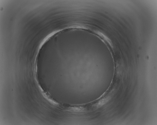 X0000081391125200701111511