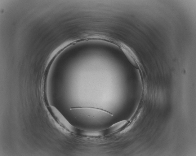 X0000081391149200701111511