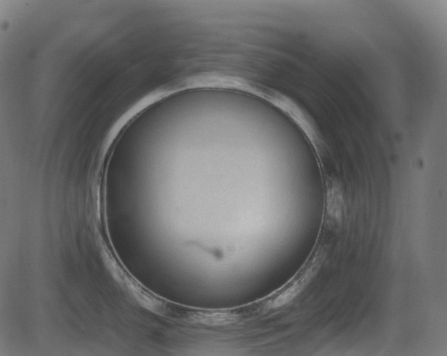 X0000081391150200701111511