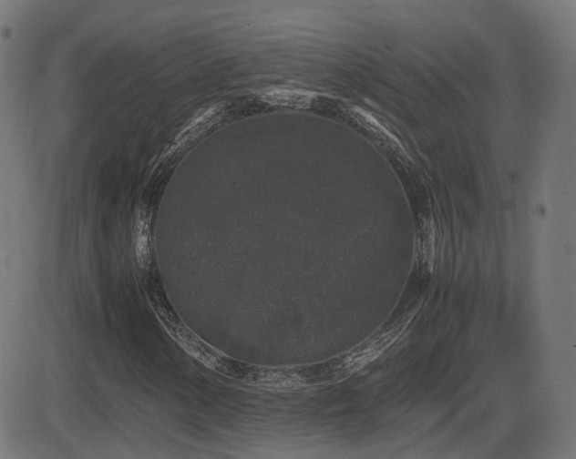 X0000081391154200701111510