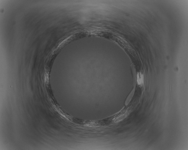 X0000081391155200701111510