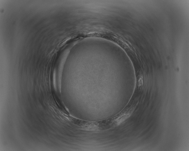 X0000081391156200701111510