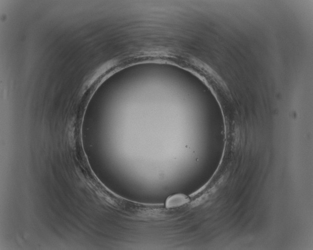 X0000081391162200701111510