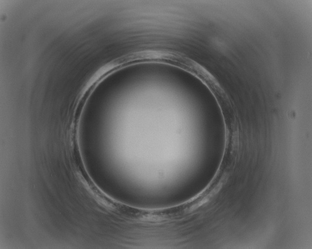X0000081391178200701111510
