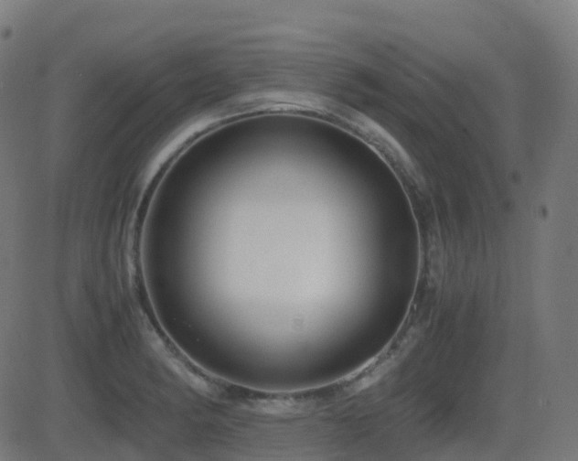 X0000081391182200701111510