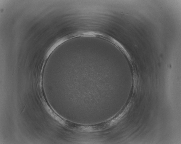 X0000081391194200701111510