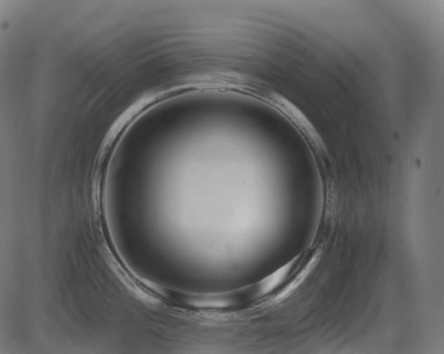 X0000081391196200701111510