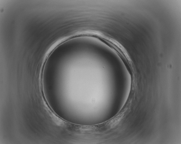 X0000081391199200701111509
