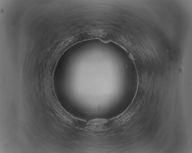 X0000081391201200701111509