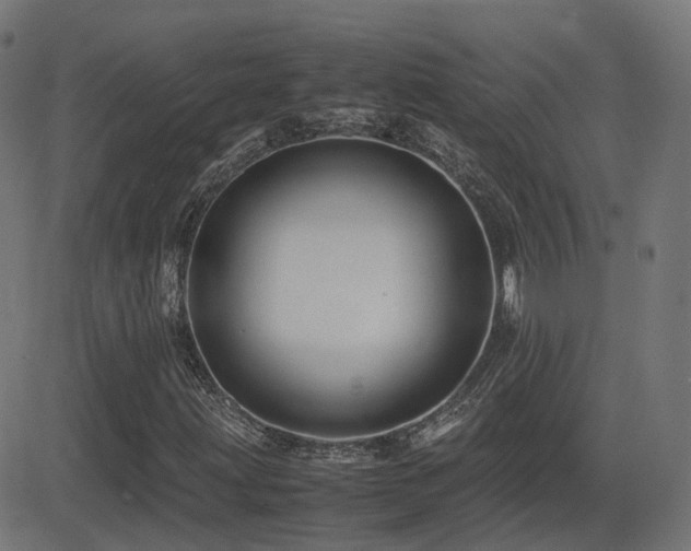 X0000081391203200701111509