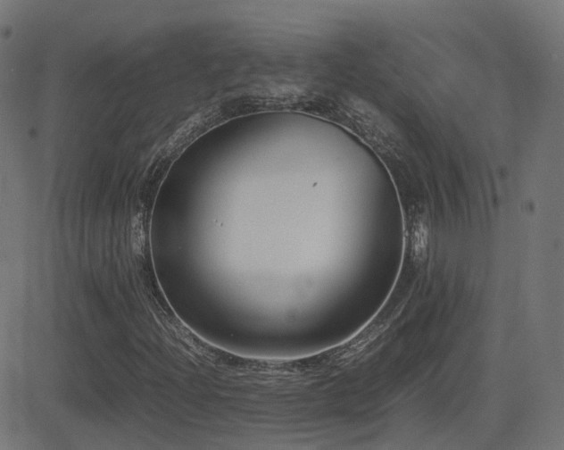 X0000081391204200701111509