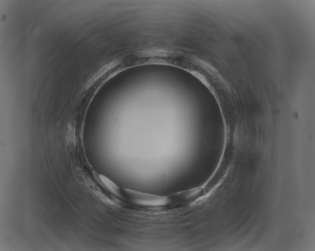 X0000081391209200701111509