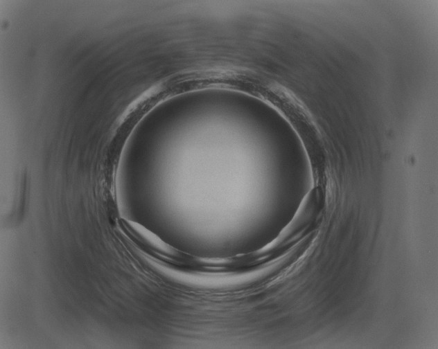X0000081391210200701111509