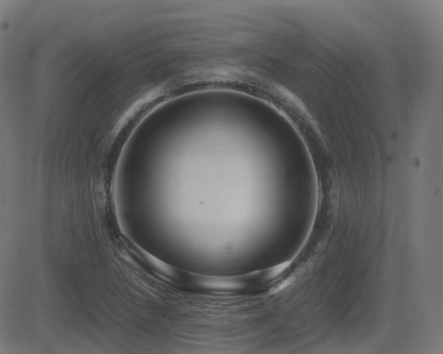 X0000081391218200701111509