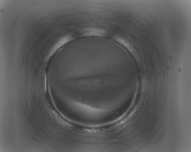 X0000081391219200701111509