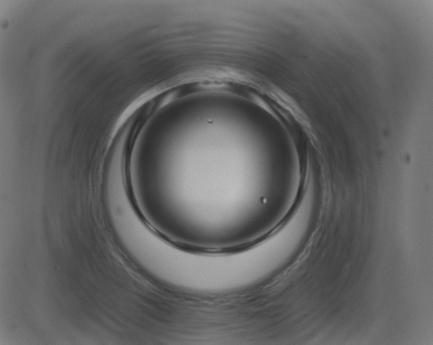 X0000081391226200701111509