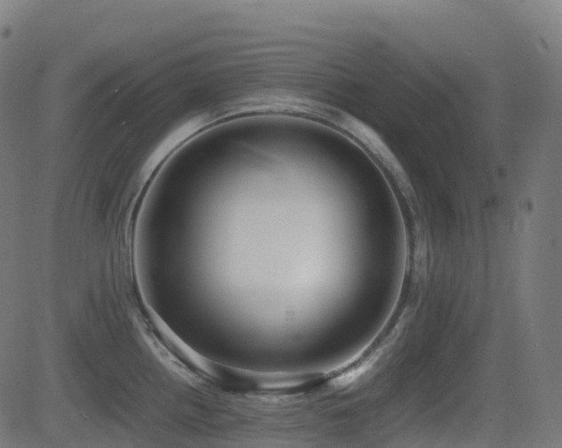 X0000081391242200701111509