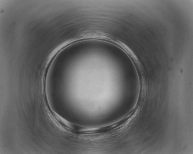 X0000081391246200701111509