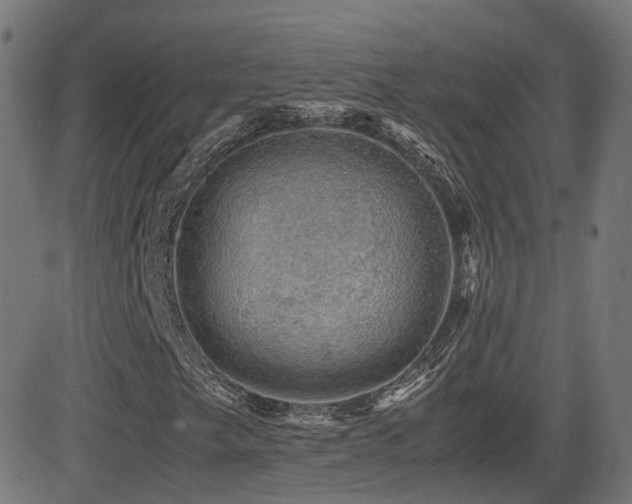 X0000081391249200701111509