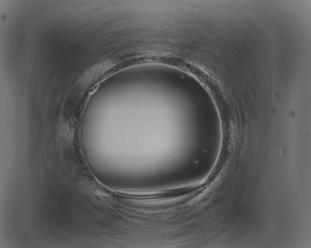 X0000081391257200701111508