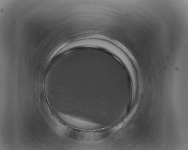 X0000081391289200701111508