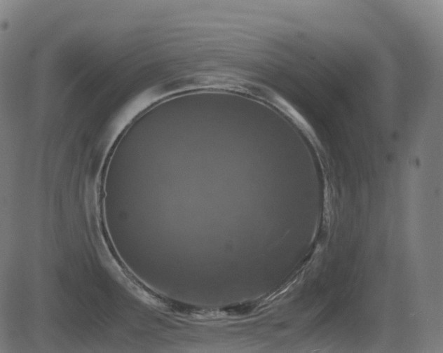 X0000081391291200701111508