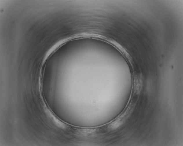 X0000081391294200701111508