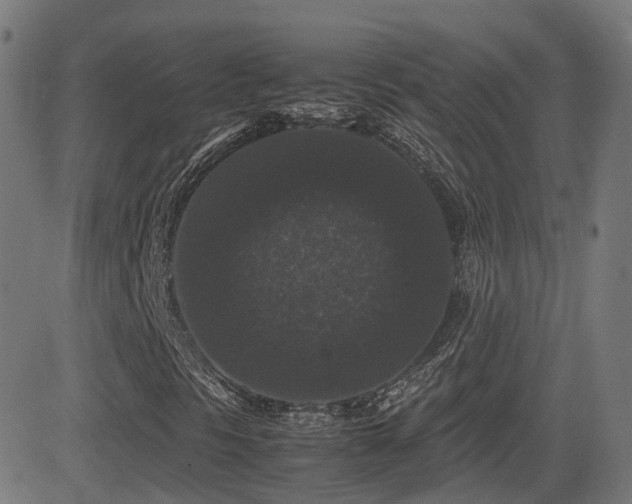 X0000081391297200701111507