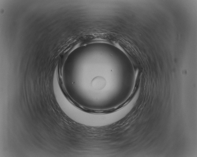 X0000081391298200701111507