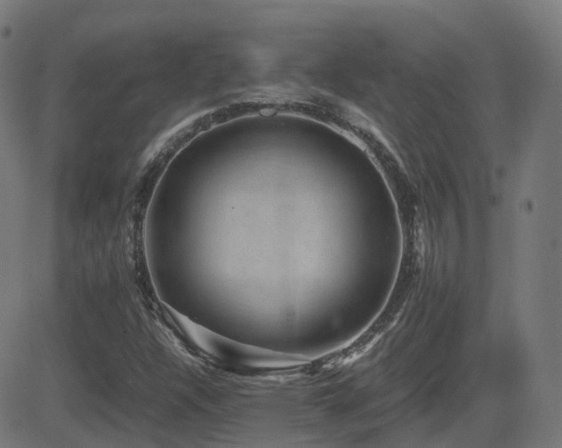 X0000081391304200701111507
