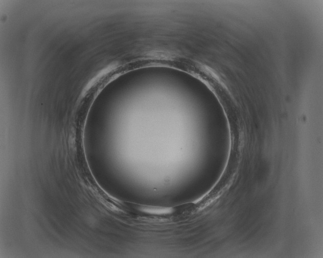 X0000081391307200701111507