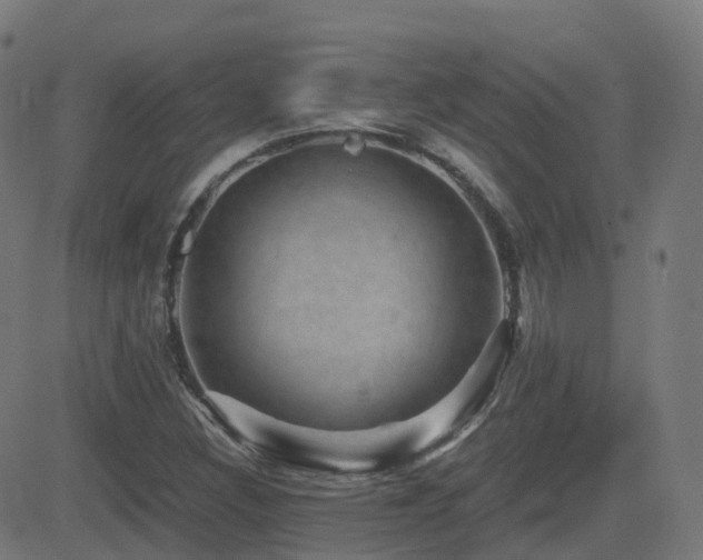 X0000081391308200701111507