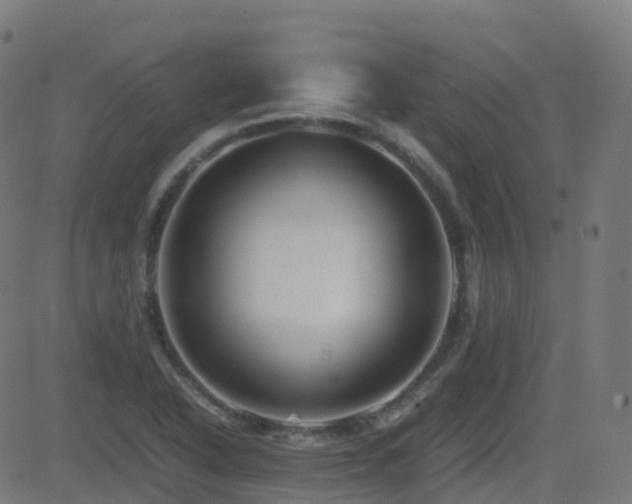 X0000081391318200701111507