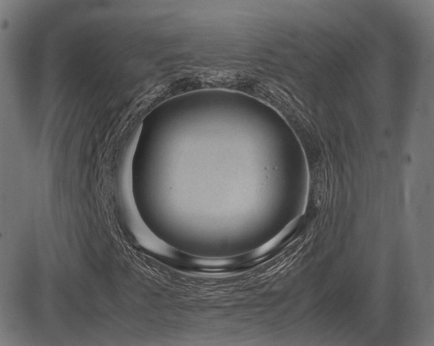 X0000081391345200701111507