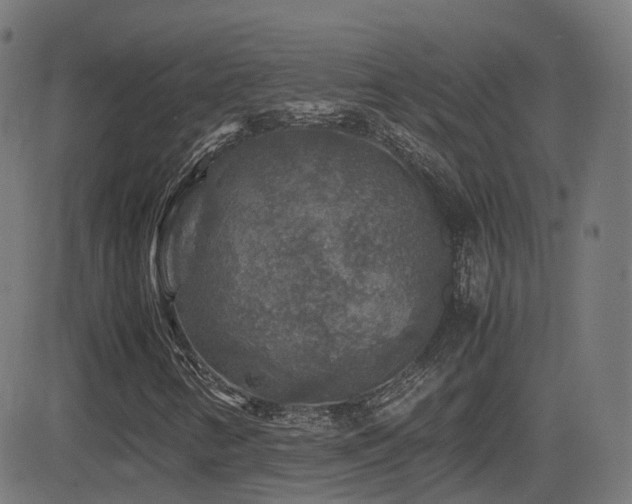 X0000081391346200701111507